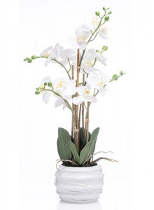 White Artificial Real Feel 3 Stem Orchid with White Pot