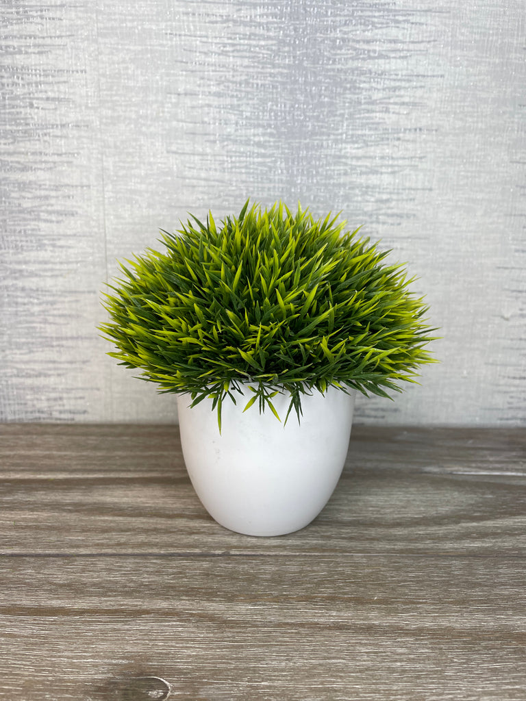 Grass Pot 15.5cm