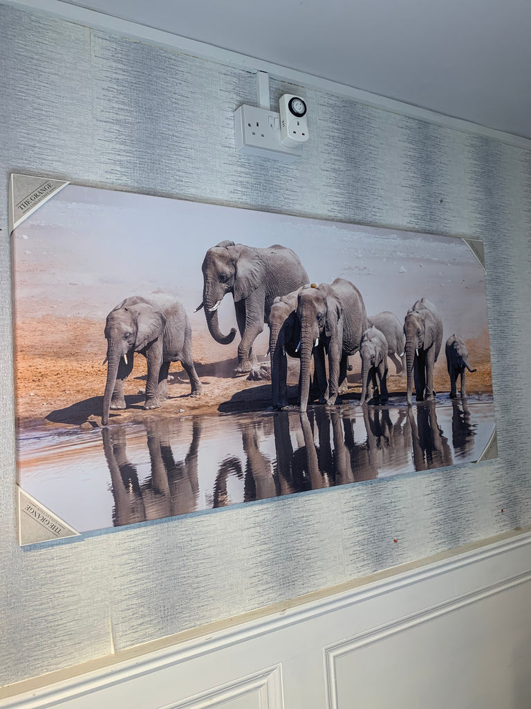 Elephant Canvas 60x120cm