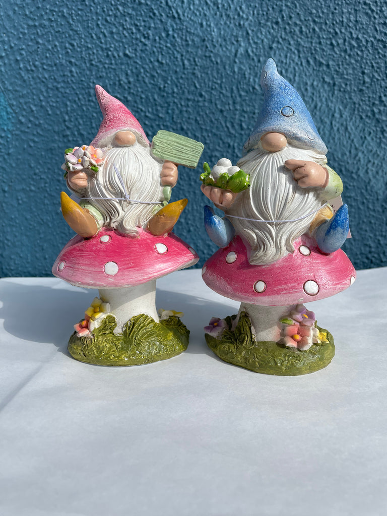 Wishing Gnome On Toad Stool