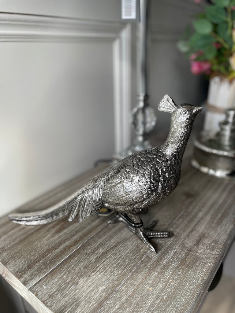 Silver Male Pheasant
