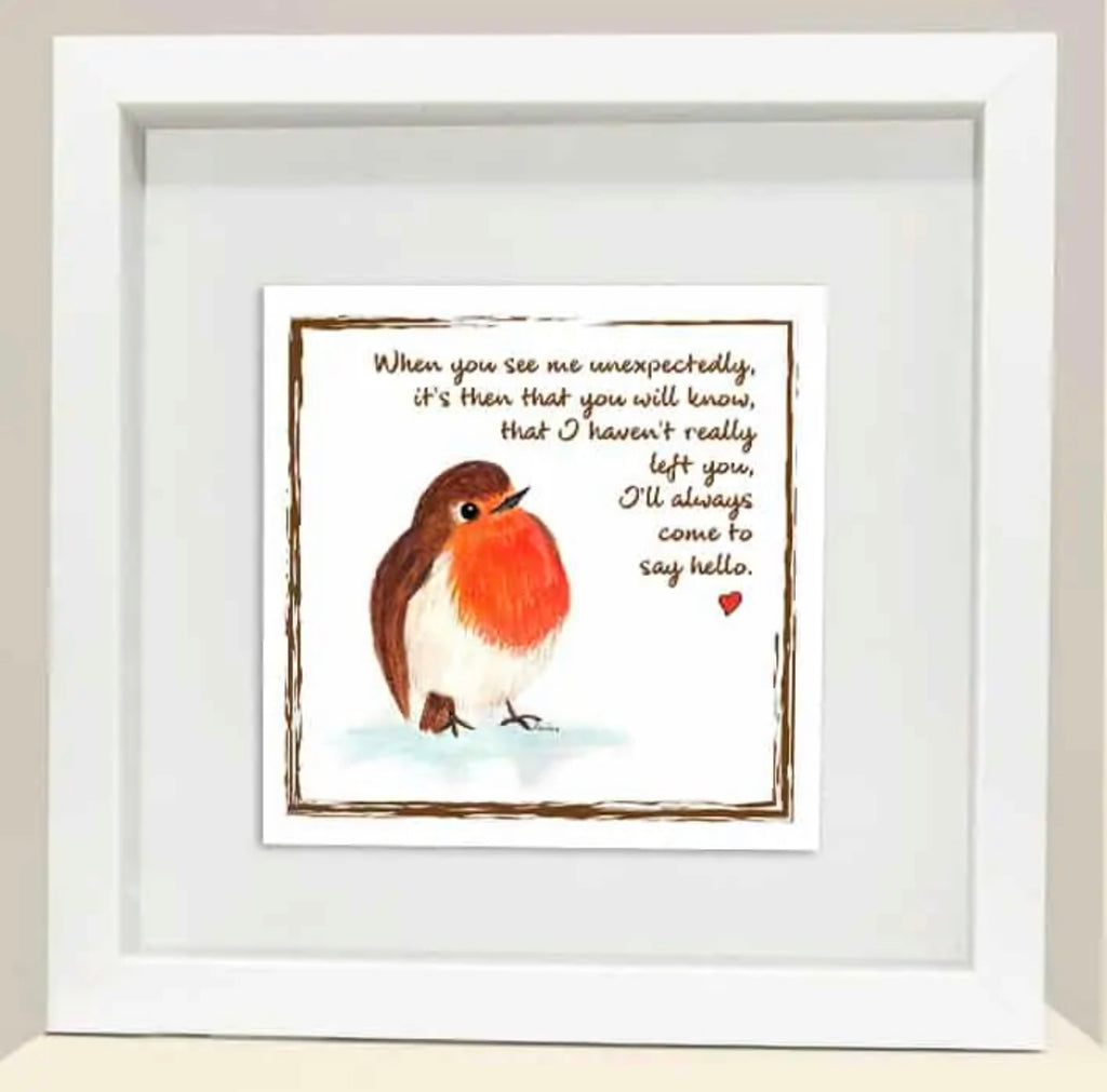 Little Red Robin Framed Print (7)